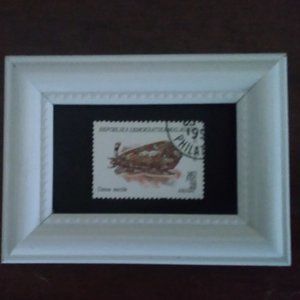 Used Collectible Postage Stamp - Cloth of Gold Cone…